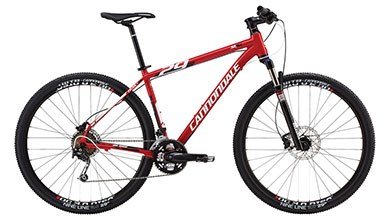 cannondale-trail293-1029