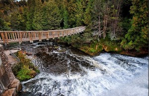 forksOfTheCreditProvincialPark