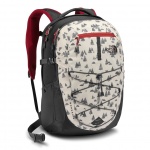 The North Face Borealis Backpack