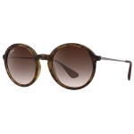 Ray Ban Rb4222 Sunglasses