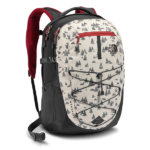 The North Face Borealis Backpack